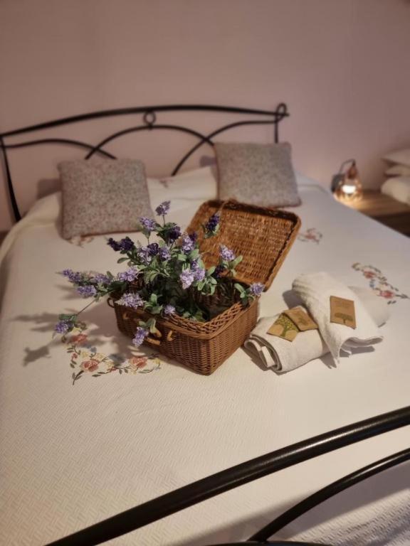 Mary House @ Apartment Sondrio Bagian luar foto